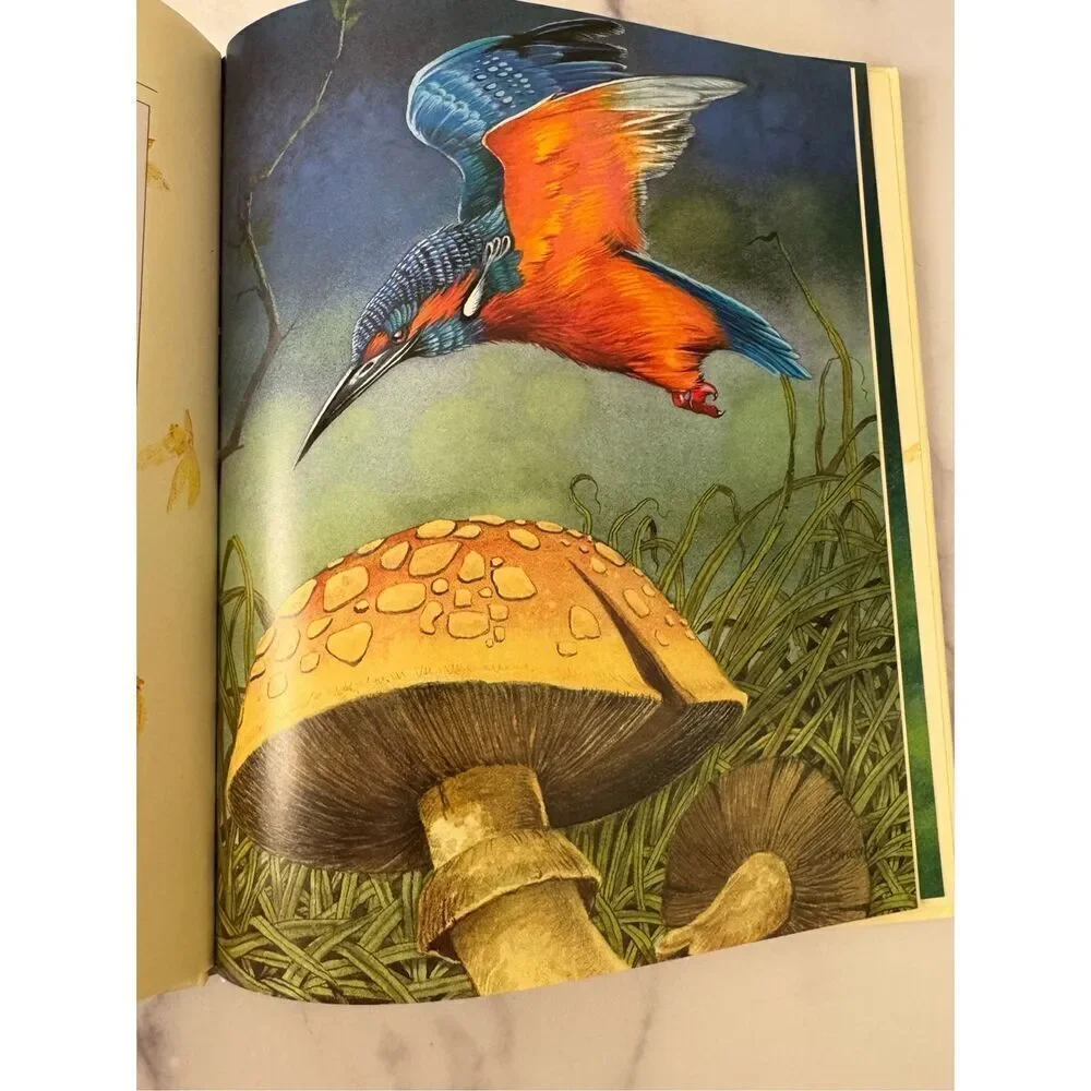 Rainy Day Fairies 2000 hardback children’s book